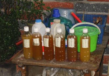 �p�l���ұƩ�G��