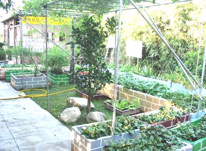 �N�p�l��ΥΩ���ϫγ����ӵ�