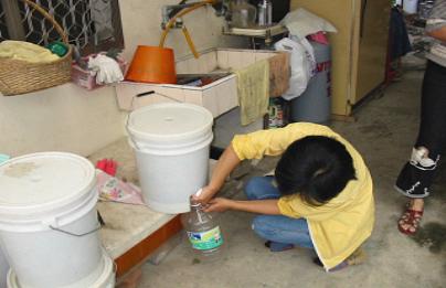 �ƥX�p�l�����X�� ( �G�� )