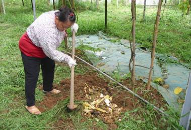 �p�l���s�@������������